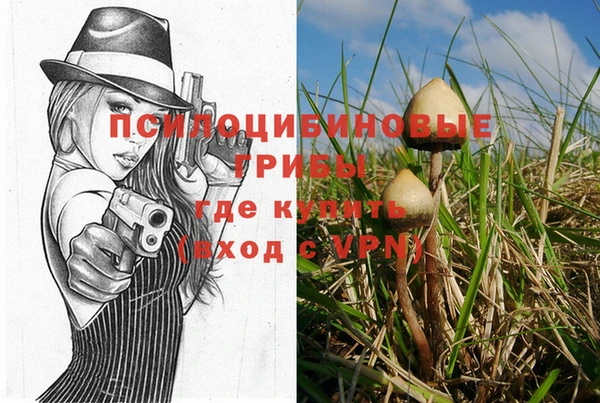 марки lsd Снежногорск
