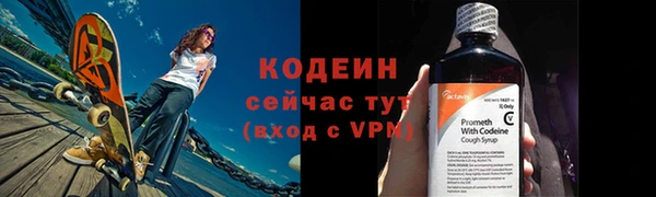 крисы Слюдянка